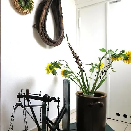 Rhodaer Grund