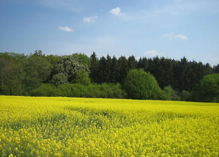 Rhodaer Grund 3* Erfurt